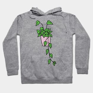 Hangplant Philodendron Scandens Color Hoodie